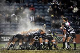 Image result for Leeds Sharks
