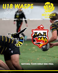 Image result for Warsash Wasps Sports & Football Club