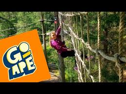 Image result for Go Ape! Whinlatter