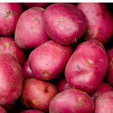 Attēlu rezultāti vaicājumam “Solanum tuberosum”