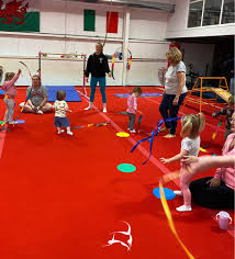 Image result for Newport Gymnastics Club