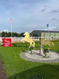 Image result for Scottish Equi Complex
