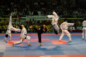 Image result for Kidderminster Tae Kwon Do Tigers