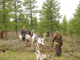 Image result for Nomads