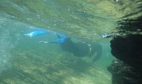 Image result for Woking Junior Snorkelling Club