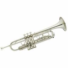 Image result for inlet trumpet