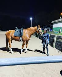 Image result for Dalkeith Park Equestrian Club