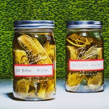 Image result for Dill