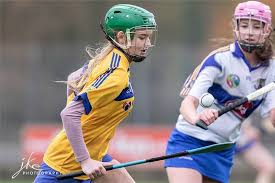 Image result for Ballerin Gaelic Athletic Club