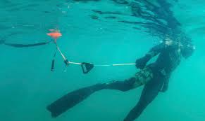 Image result for Torbay Sub-Aqua Club