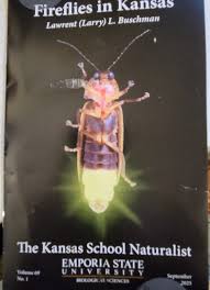 Attēlu rezultāti vaicājumam “Diaperis boleti nest”