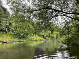 Image result for Trimpley Anglers Association