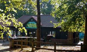 Image result for East Bergholt Bowls Club