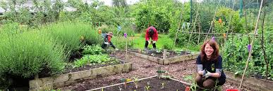 Image result for Roxeth Bowling Club