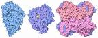 RCSB PDB-