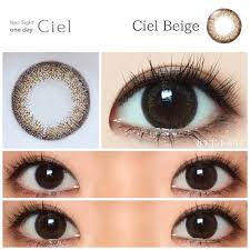 「ネオサイトワンデーシエル」の画像検索結果