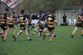 Image result for Yatton R F C