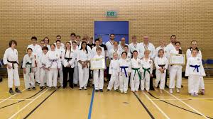 Image result for Northern Freestyle Karate Association