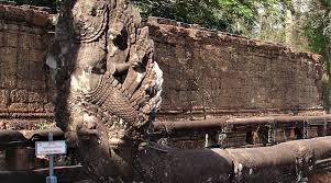 Kuvahaun tulos haulle nagas