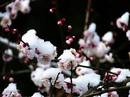 images?q=tbn:ANd9GcTKMNqLcSfSNxn_k7jVtqcpp4UTkq39evIpXipRSi5d1lCk-OrW_Q