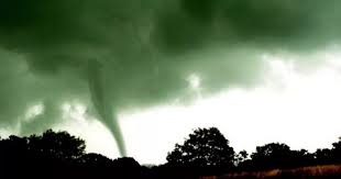 Image result for Luton Tornadoes