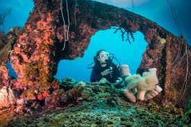 Image result for Deep and Wide Diving