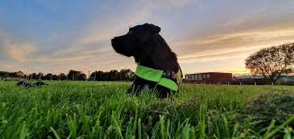 Image result for Ashton under Lyne RUFC