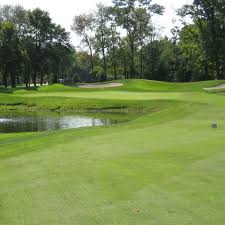 Image result for Green Haworth Golf Club