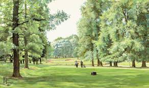 Image result for Belton Park Golf Club