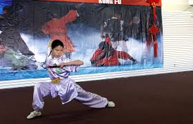 Image result for Wushu Tai Chi Club