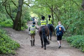 Image result for Elstead Riding Club