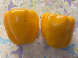 Afbeeldingsresultaat voor californian wonder golden sweet pepper
