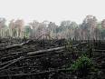 Deforestation - Wikipedia, the free encyclopedia