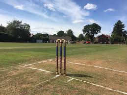 Image result for Horsham Trinity Cricket Club