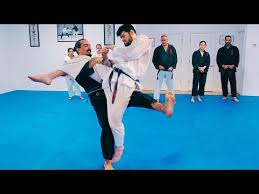 Image result for Hachidori ju-jitsu Martial Arts
