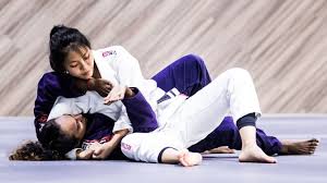 Image result for Brazilian-martial arts