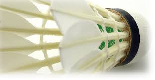 Image result for Bradford Old Grangers Badminton Club