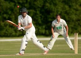 Image result for Theale and Tilehurst Cricket Club