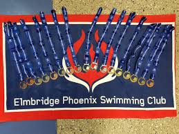 Image result for Elmbridge Phoenix Swimming Club