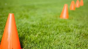 Image result for Crawley Green Sports & Social Club