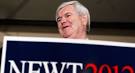 Newt Gingrich would bet LSU will win BCS championship - Ginger ...