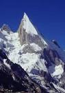  Peak your Vision - Choral Net