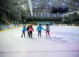 Image result for Guildford Ice Figure Skating Club