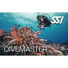 Image result for Divemaster Scuba