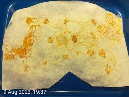 Attēlu rezultāti vaicājumam “Badhamia sp.”