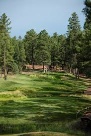 Image result for The Craythorne Golf Club