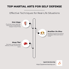 Image result for Combined self defence arts