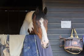 Image result for Cranleigh School Stables