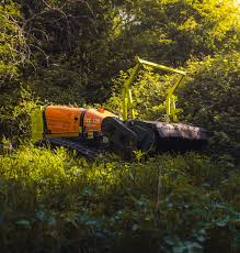 Image result for roboflail tehron