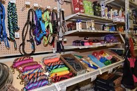 Image result for Teamsheep